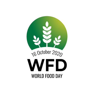 世界粮食日插图矢量适用于社交媒体、横幅、海报、传单和与食物有关的。矢量图
