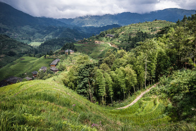 隆基水稻梯田