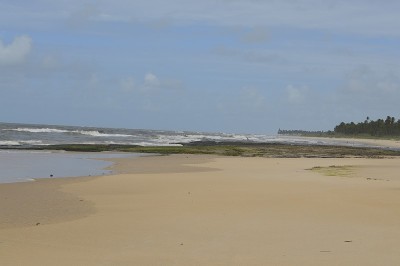海滩景色