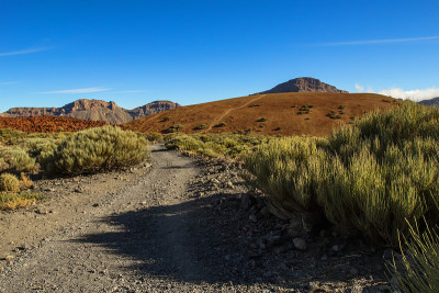 山路，泰德火山，特内里费