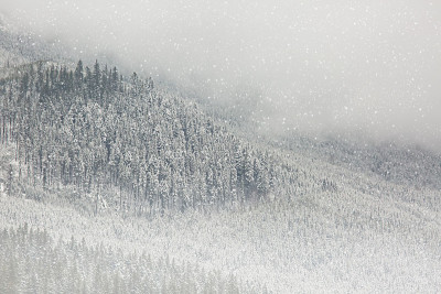 山区大雪，冬季天气条件背景