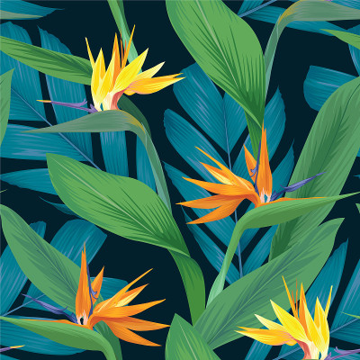 Seamless pattern of colorful bird of paradise flow
