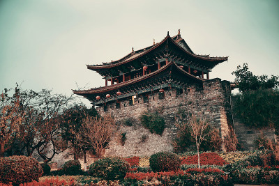 大理镇