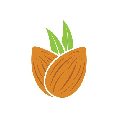 杏仁图标。坚果矢量插图孤立的白色背景。