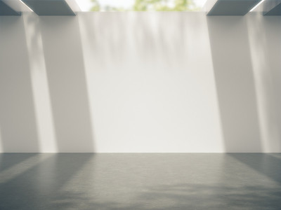产品展示的空间和树在墙上的阴影。3d渲染。