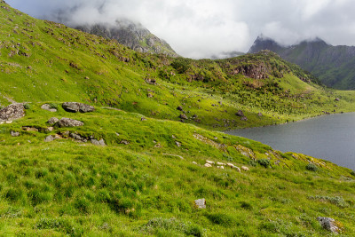 美丽的斯堪的纳维亚风景，草甸，峡湾和山脉。罗弗敦群岛,挪威。