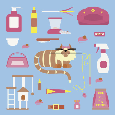 一套标志猫配件。