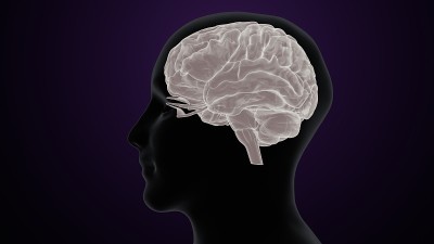 人脑交叉解剖学的三维渲染