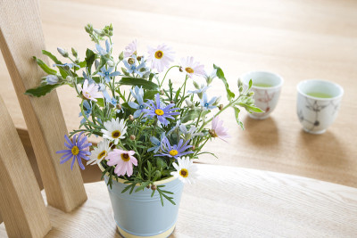 日本茶，花和椅子