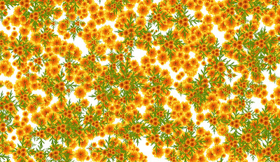 无缝花图案宇宙花植物图案