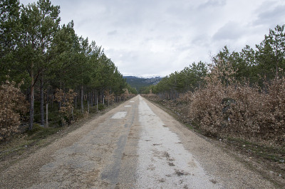 通往山的路
