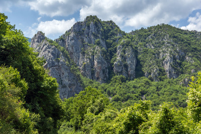 塞尔维亚弗拉西村的全景和杰尔马河峡谷的岩层