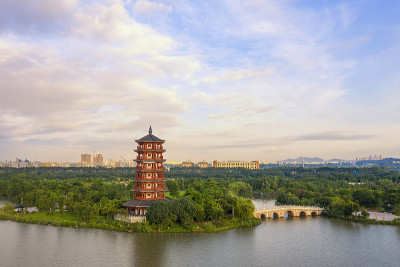湿地公园清晨的天空和高塔附近的湖