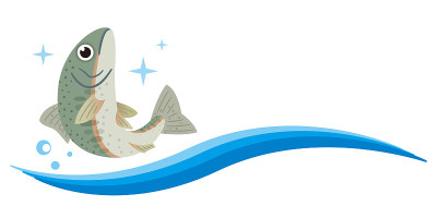 跳虹鳟鱼的简单插图