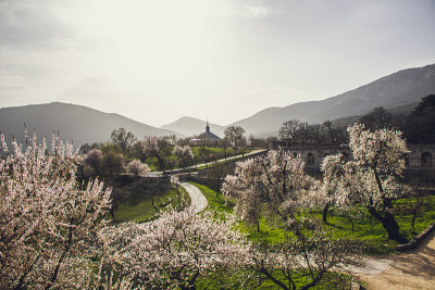 春天的el escorial修道院的花园