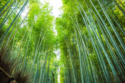 岚山