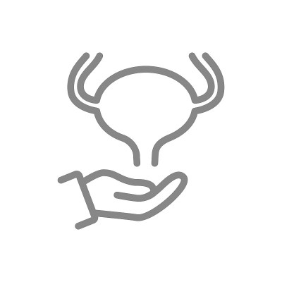 膀胱在手线上图标。人类治疗，疾病预防的标志