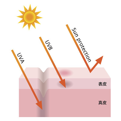 紫外线穿透和防晒