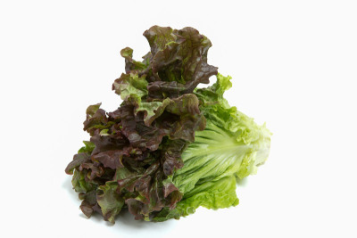 油麦菜