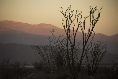 Anza-Borrego