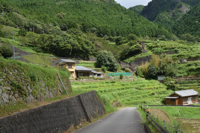 1000，平山市