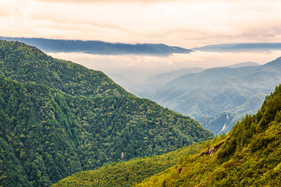 山
