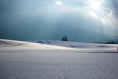 神秘的雪景
