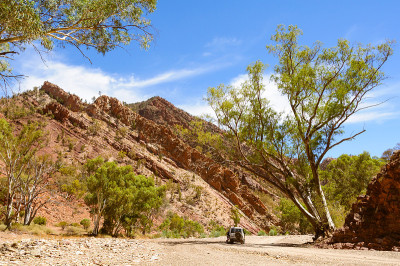 Brachina Gorge - Wilpena磅