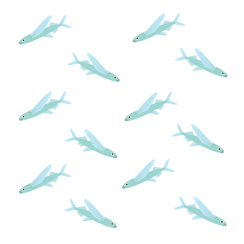 飞鱼