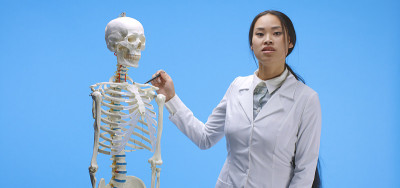 医生用骨骼解释解剖学