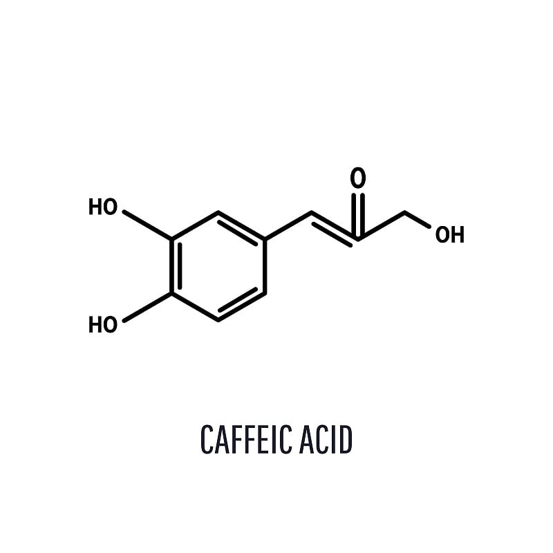 咖啡酸，C9H8O4分子结构。骨骼化学公式在白色背景，矢量插图