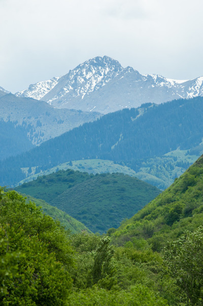 山峦在春天，