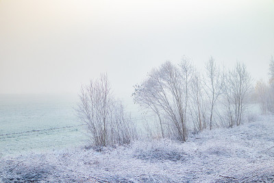 欧洲乡村冬天的美景。第一场雪的风景。