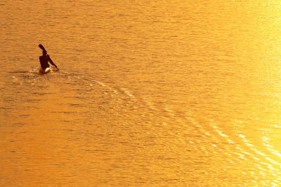 Goldern Paddler