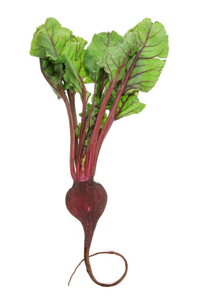 甜菜根