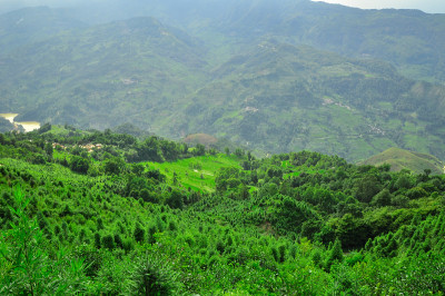 云南，中国南方——2011年:高原上的梯田