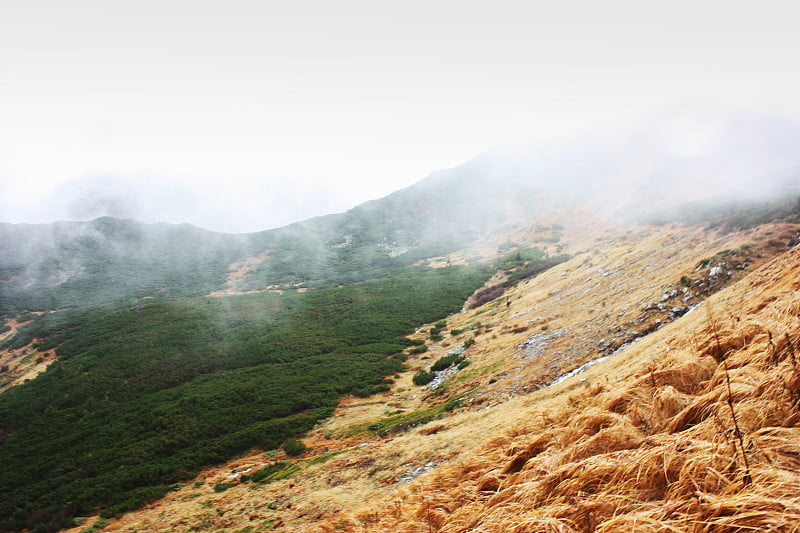 雾在山中，雨在山中