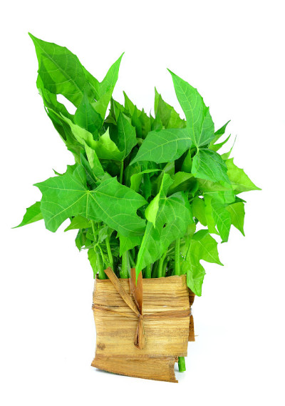 菠菜树