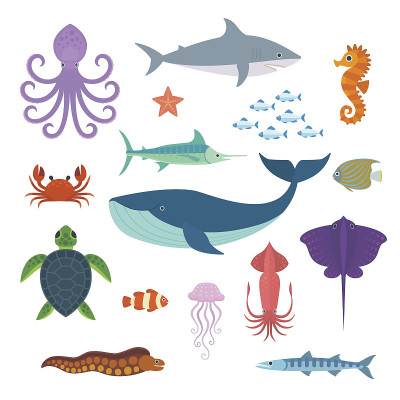 海洋生物。