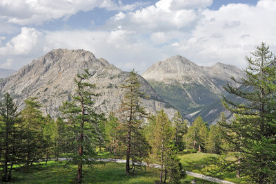 阿尔卑斯山，法国，意大利，瑞士地区