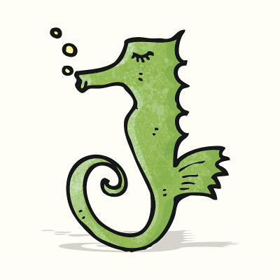 卡通海马