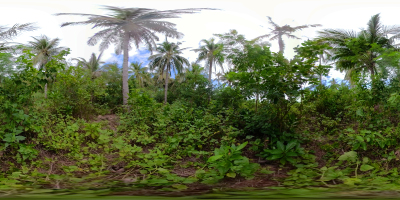 热带雨林360 VR