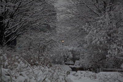降雪
