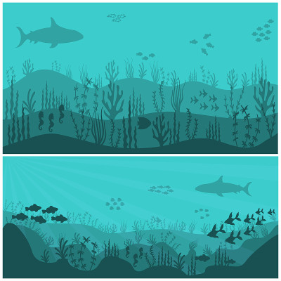 海底或海底的水下背景生物。