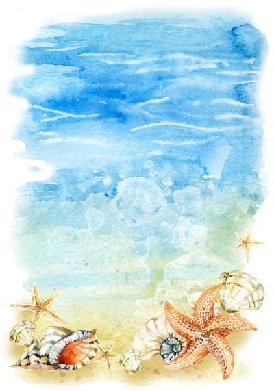 水彩海滩插图与海贝和海星