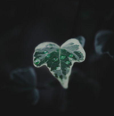 水滴
