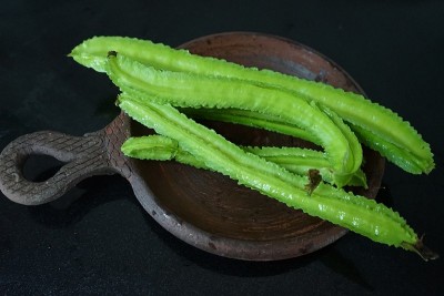 有翼的豆