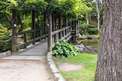 日本新泻公园的场景