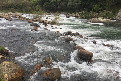科罗曼德尔大教堂海湾地区的自然之美