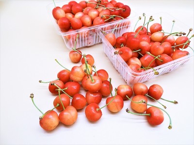 Cherry13